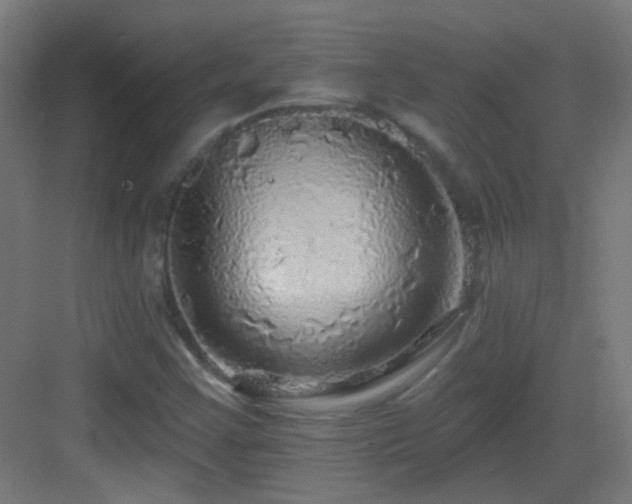 X0000083551355200702091048