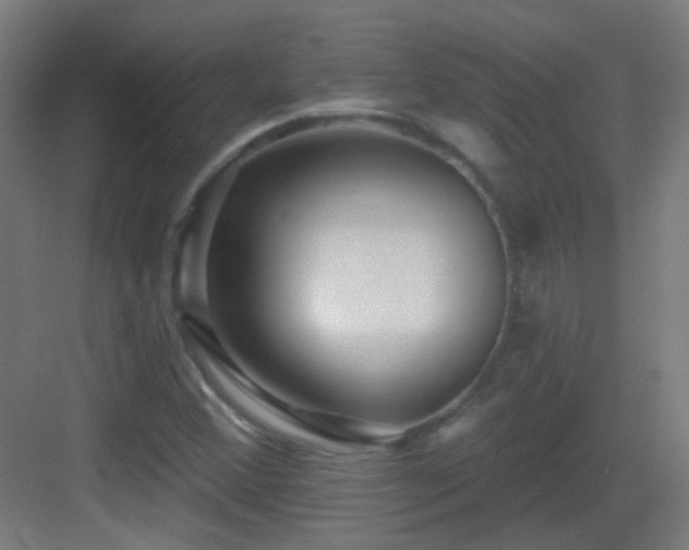 X0000083551356200702091048
