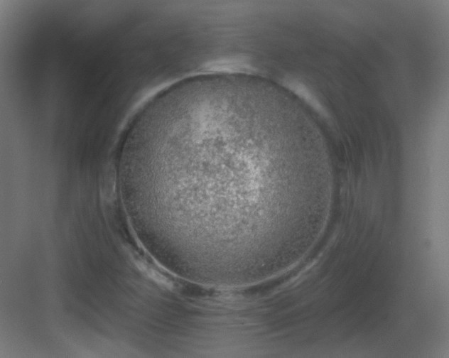 X0000083551358200702091048