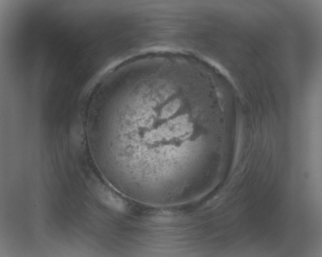 X0000083551359200702091047