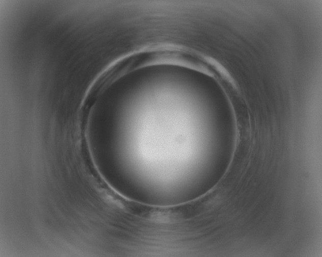 X0000083551364200702091047