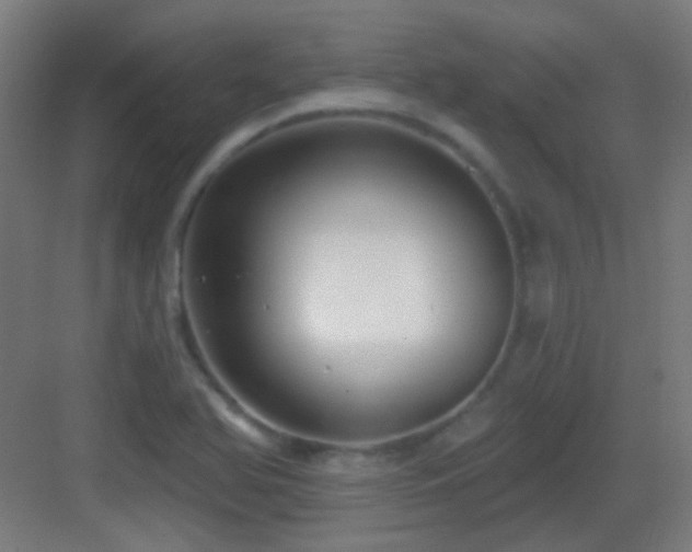 X0000083551366200702091047