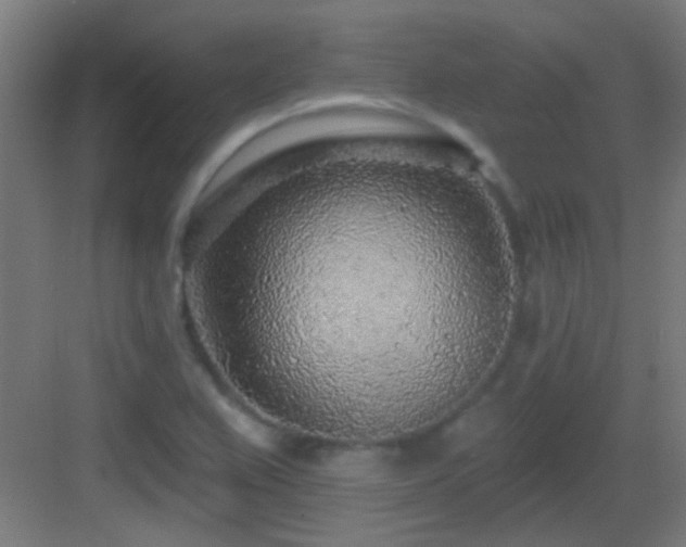 X0000083551367200702091047