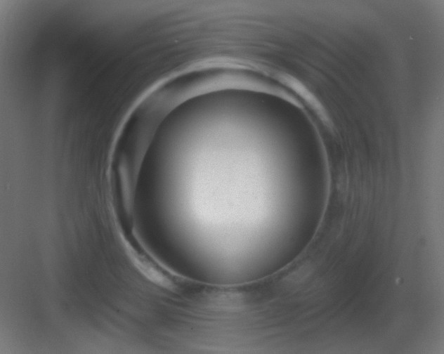 X0000083551372200702091047