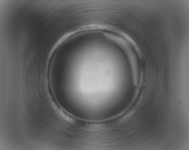 X0000083551373200702091047