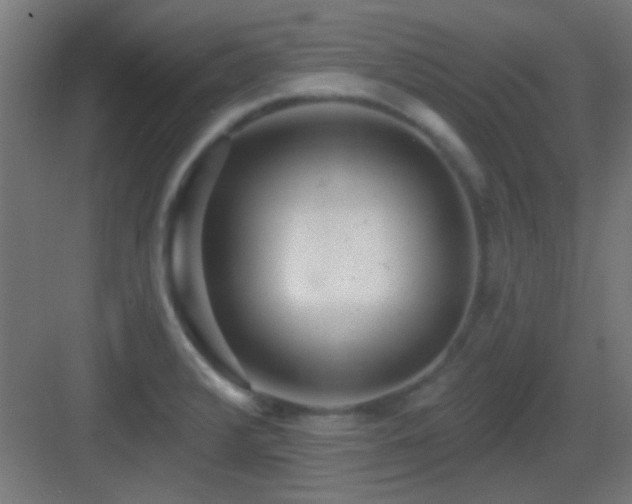 X0000083551376200702091047