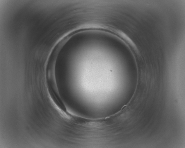 X0000083551380200702091047