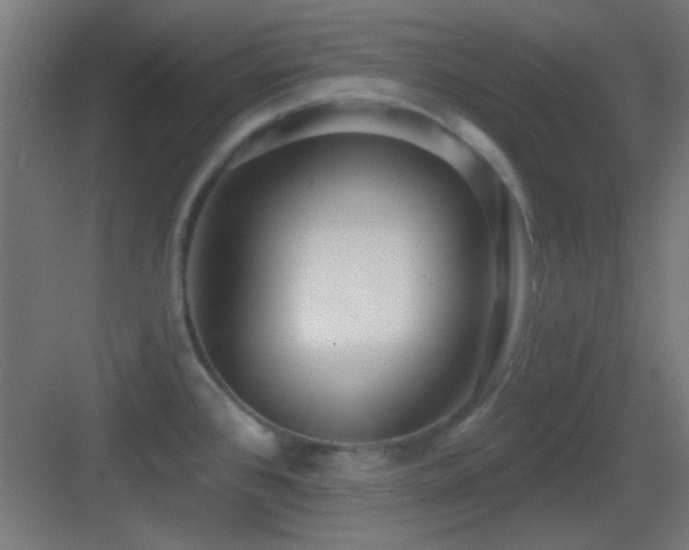 X0000083551384200702091047