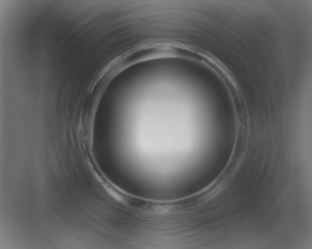 X0000083551385200702091047