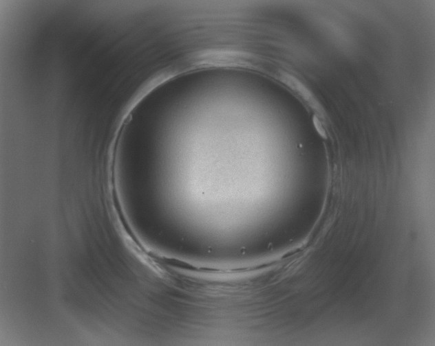 X0000083551386200702091047