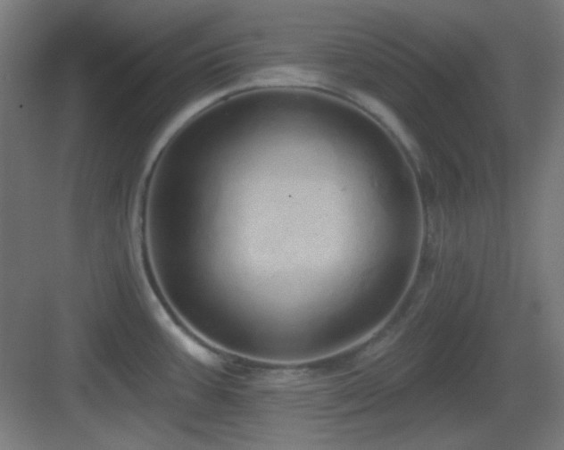 X0000083551387200702091047