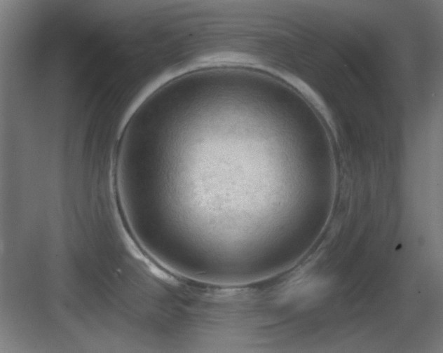 X0000083551390200702091047