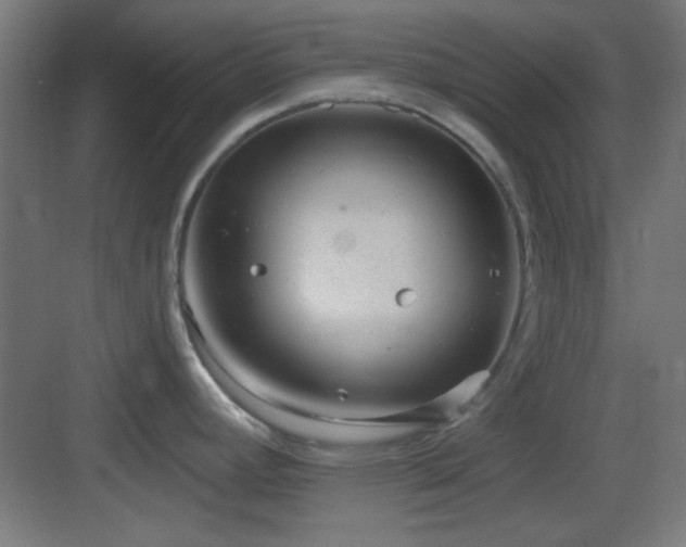 X0000083551392200702091047
