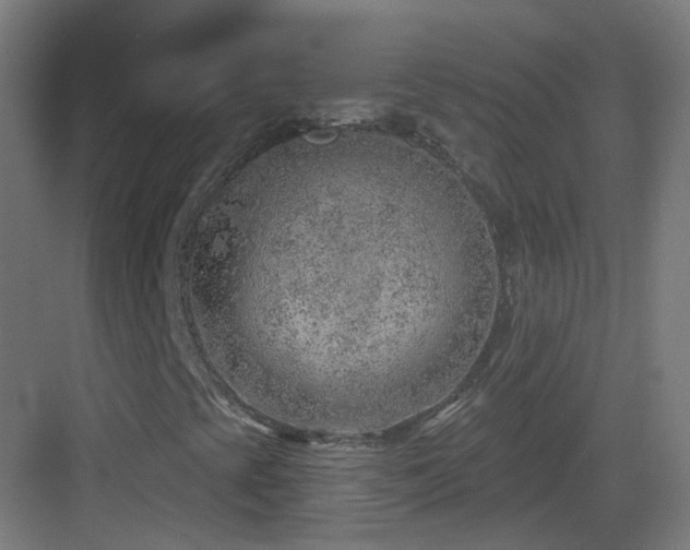 X0000083551393200702091046