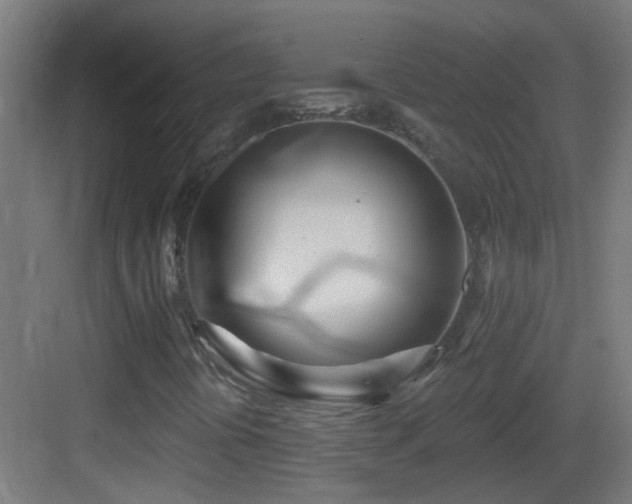 X0000083551394200702091046