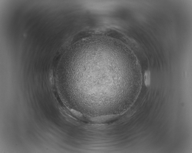 X0000083551395200702091046