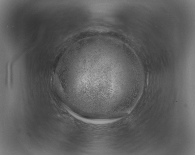 X0000083551397200702091046