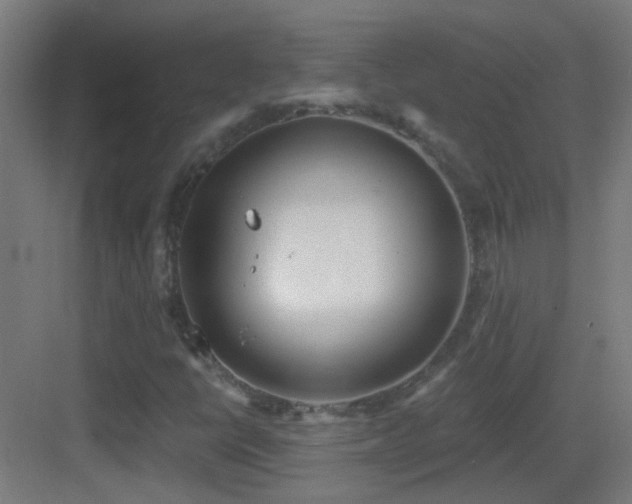 X0000083551398200702091046