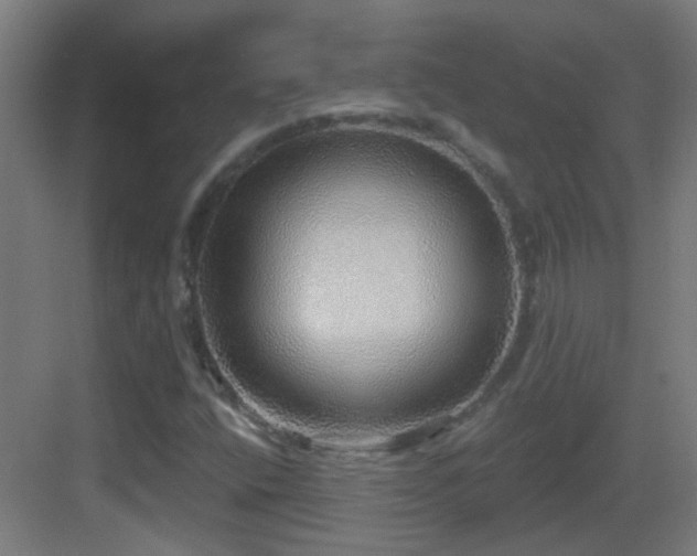 X0000083551400200702091046