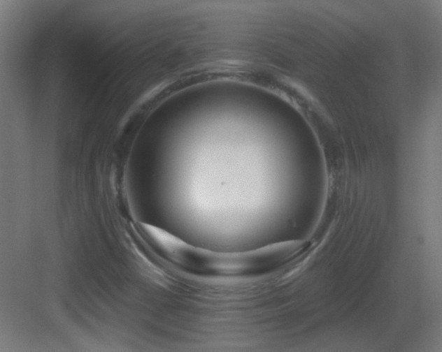 X0000083551402200702091046