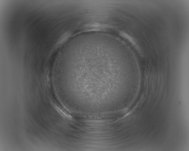 X0000083551403200702091046