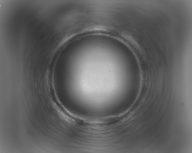 X0000083551404200702091046