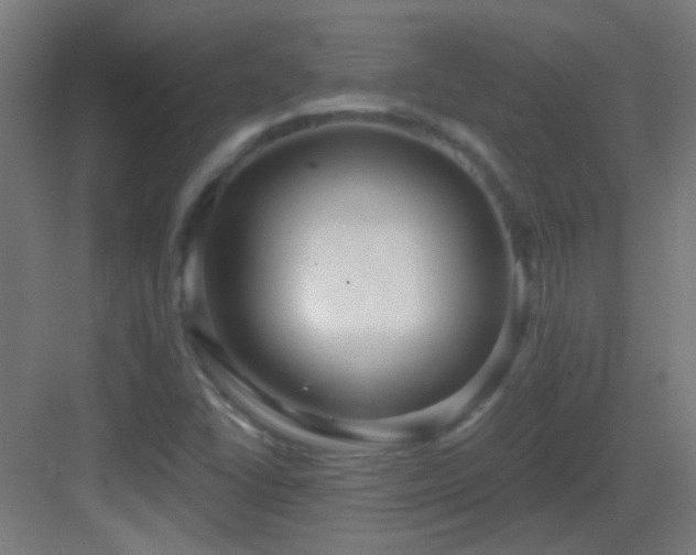 X0000083551406200702091046