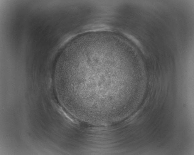 X0000083551407200702091046