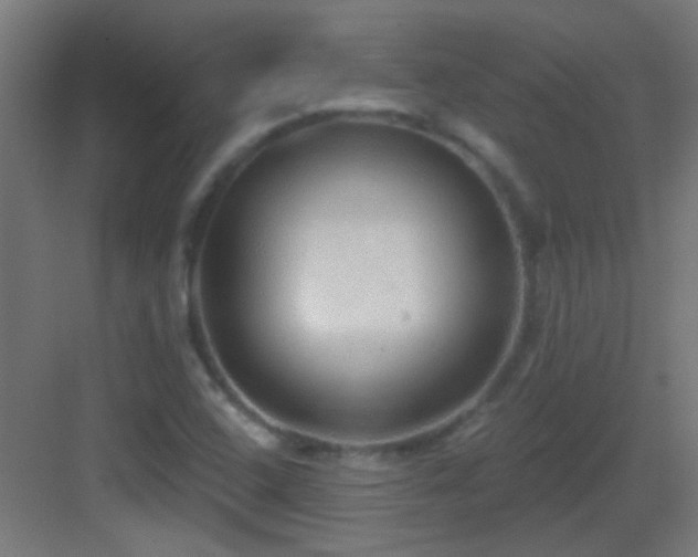 X0000083551408200702091046
