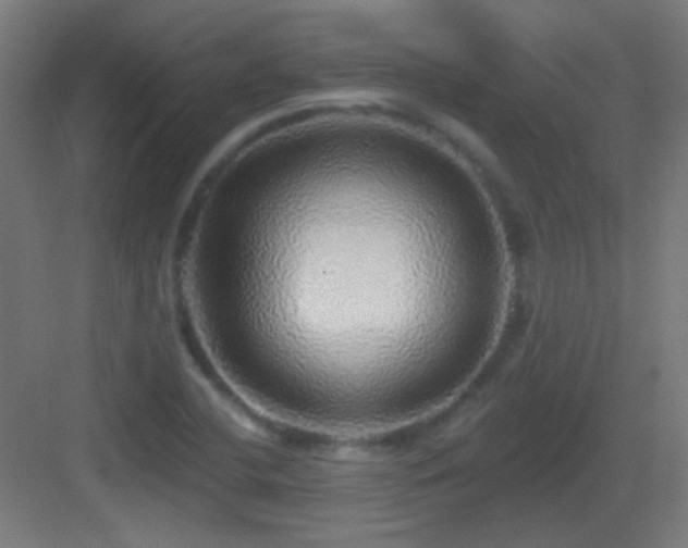 X0000083551412200702091046