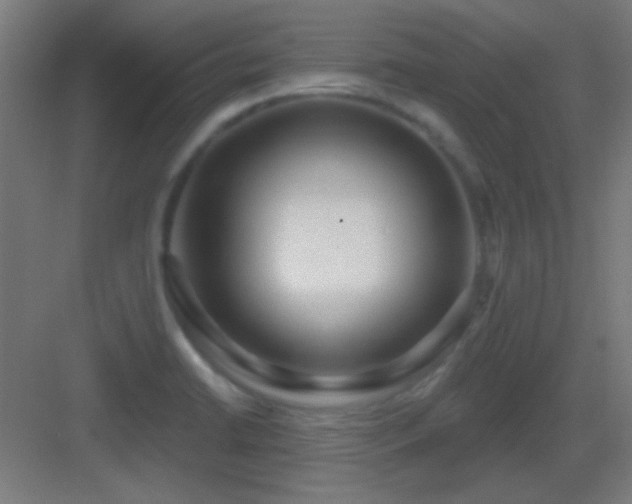 X0000083551422200702091047