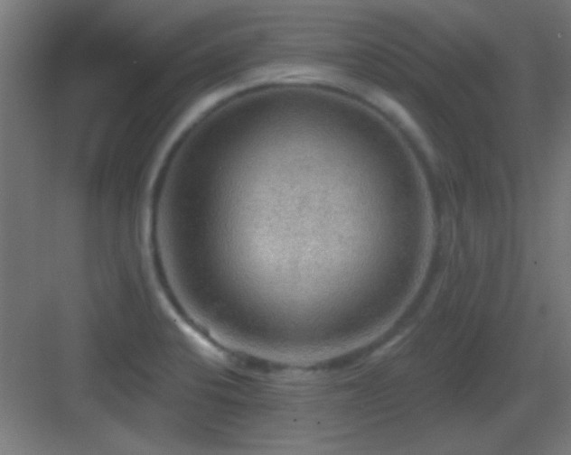 X0000083551424200702091047