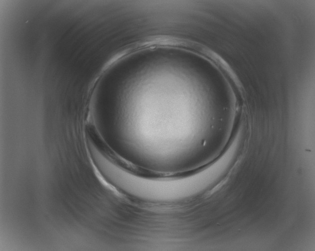 X0000083551433200702091047