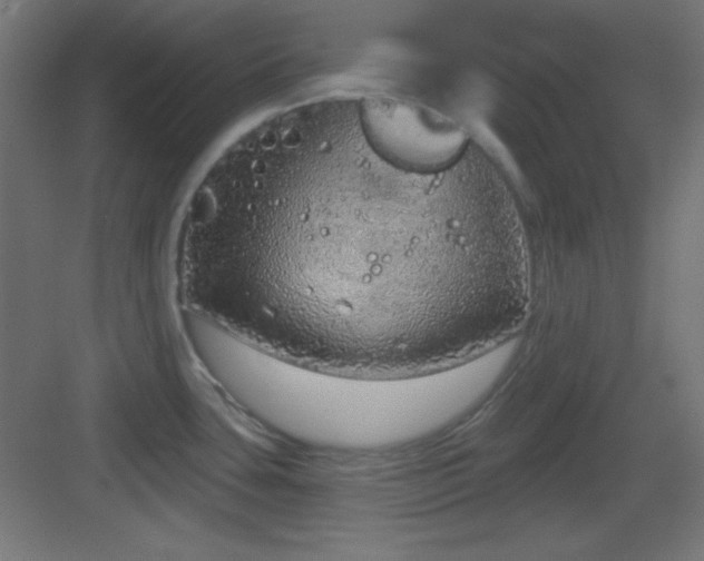 X0000083551435200702091047