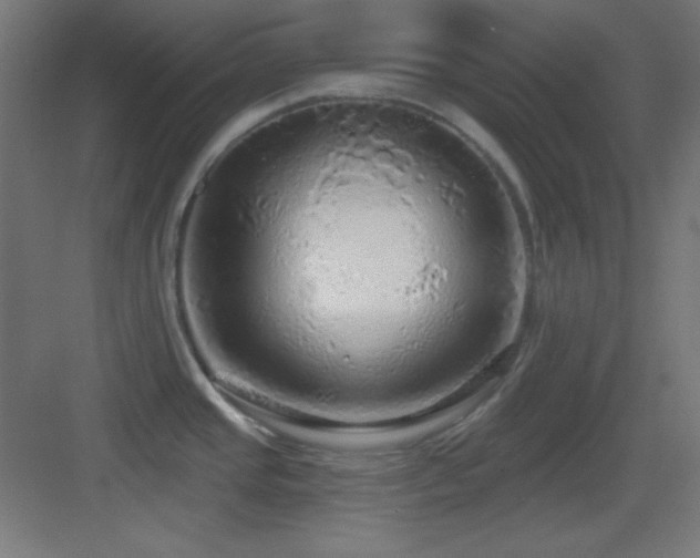 X0000083551437200702091047