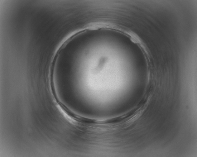 X0000083551438200702091047