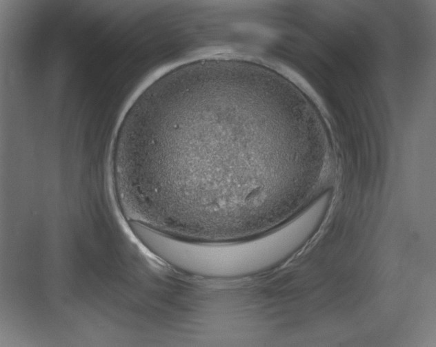 X0000083551440200702091047