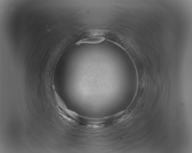 X0000083551441200702091046