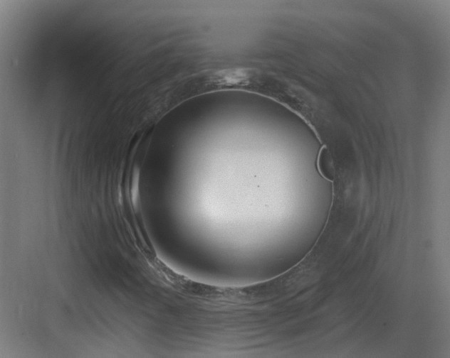 X0000083551442200702091046