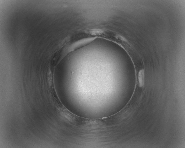 X0000083551443200702091046