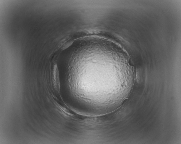 X0000083551444200702091046
