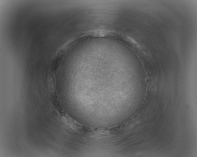 X0000083551446200702091046