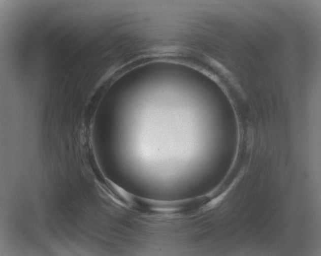 X0000083551449200702091046
