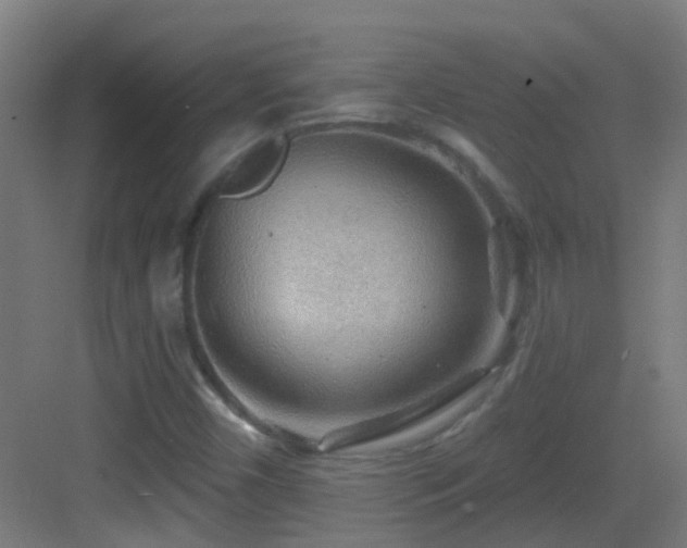 X0000083551450200702091046