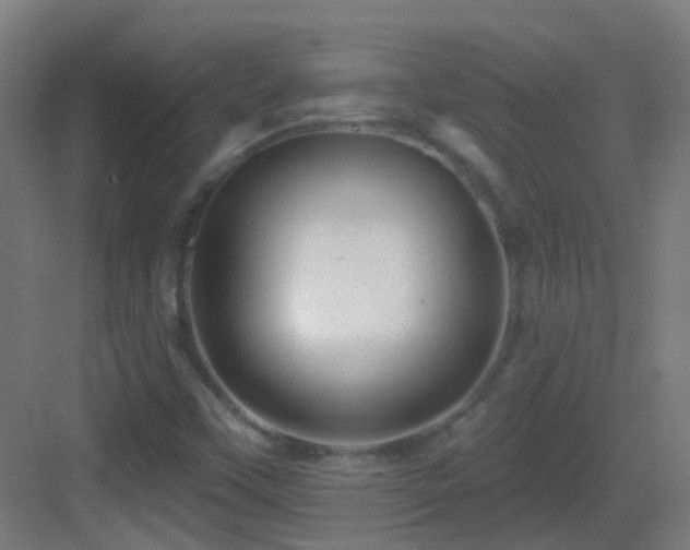X0000083551451200702091046