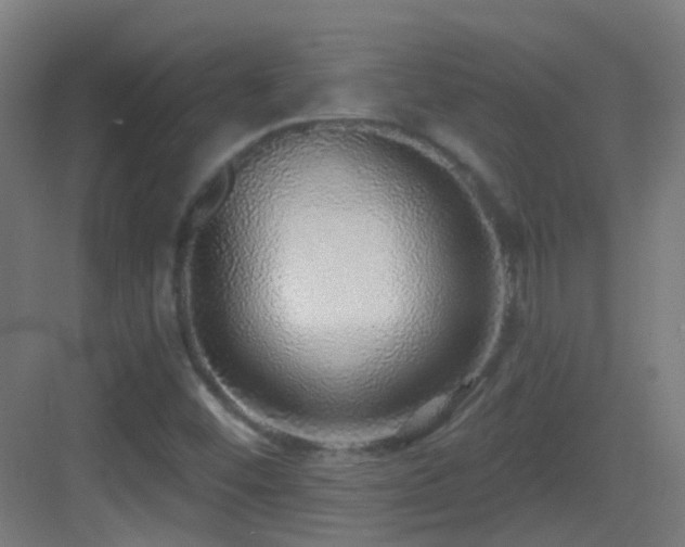 X0000083551452200702091046