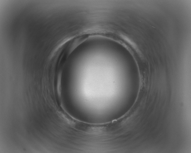 X0000083551453200702091046