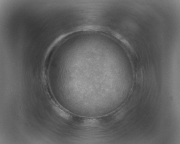 X0000083551454200702091046