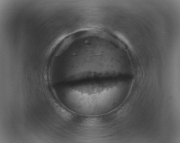 X0000083551455200702091046