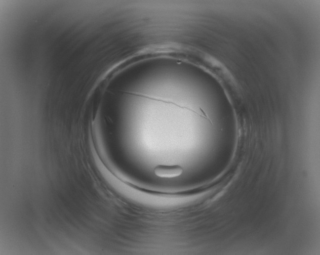 X0000083551457200702091046